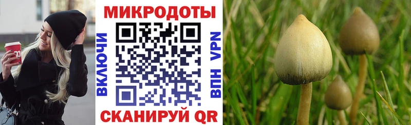 OMG ONION  Алдан  Псилоцибиновые грибы ЛСД 