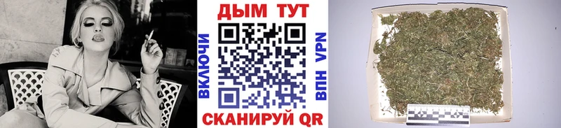 Бошки Шишки планчик  Алдан 